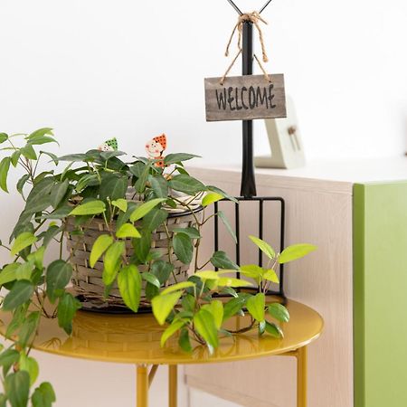 Springhome - Cozy Apartment With Balcony & Parking Brasov Ngoại thất bức ảnh