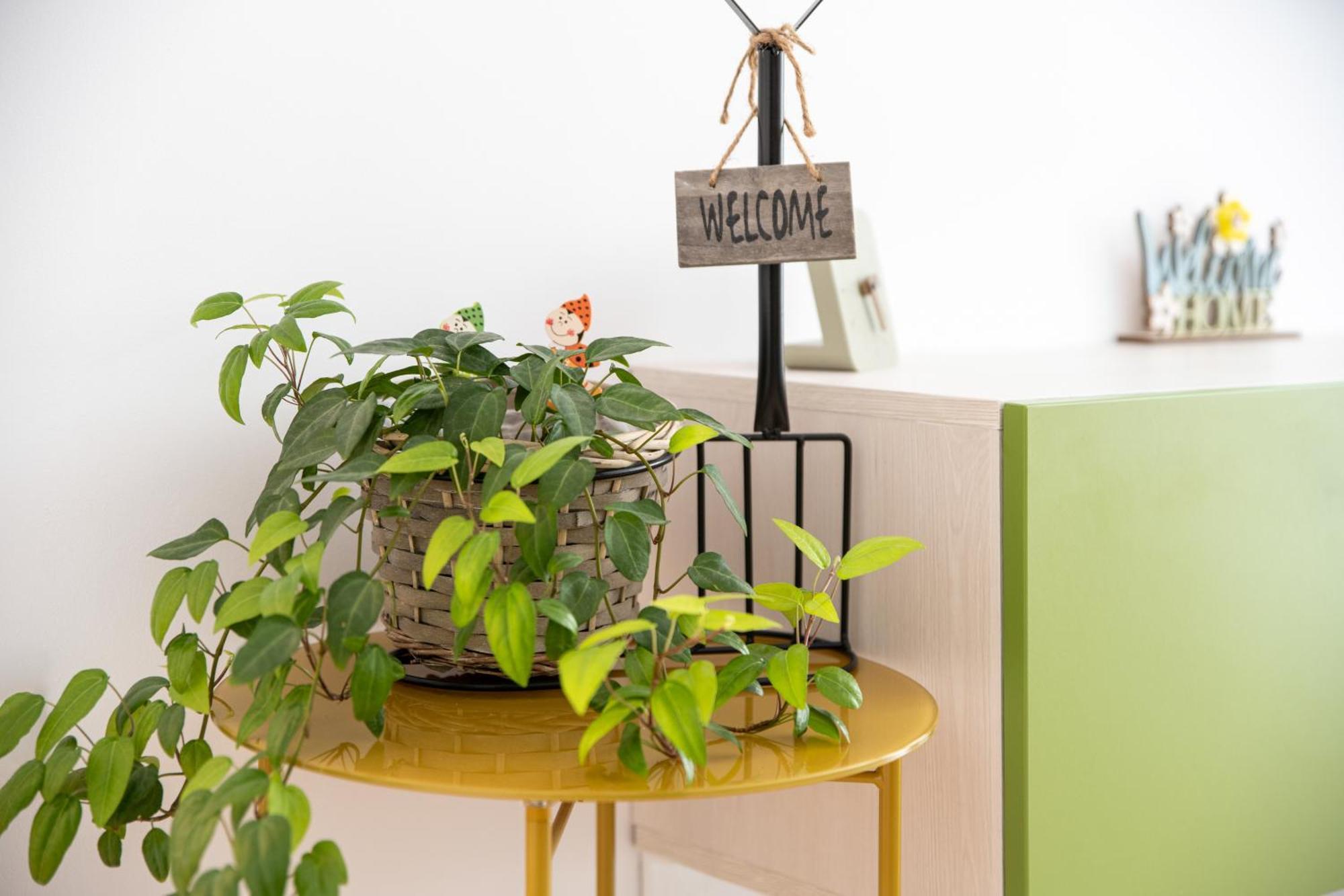 Springhome - Cozy Apartment With Balcony & Parking Brasov Ngoại thất bức ảnh